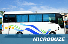 inchirieri microbuze